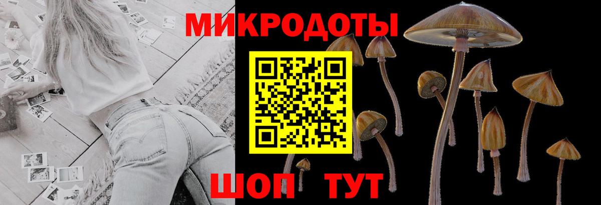 Губаха  Галлюциногенные грибы Psilocybe  Псилоцибиновые грибы Magic Shrooms  купить  цена  Вход с VPN 