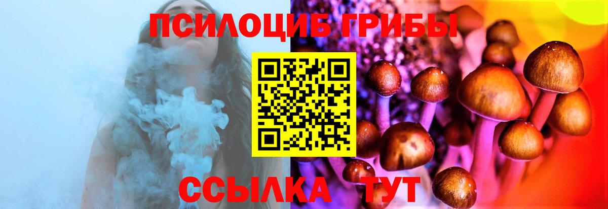 Псилоцибиновые грибы GOLDEN TEACHER Губаха